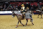 Quadrille - 00908